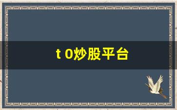 t 0炒股平台(t 0股票交易平台)_https://www.gfdzclz.com_创业板_第1张